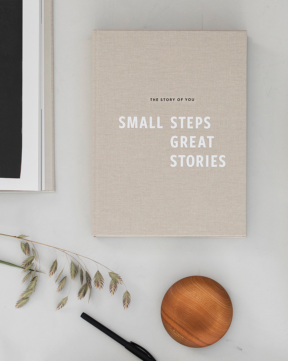 Small steps great stories bog